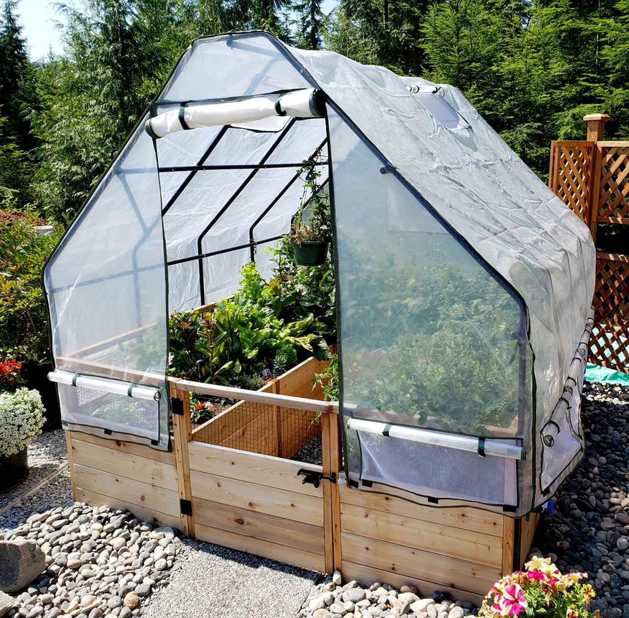Cedar Complete Raised Garden Bed Kit with Greenhouse Cover 8' x 8'