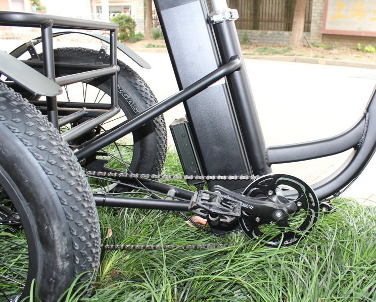 48V 1000W snowmobile Electric three-wheeled fat ebike 20-24inch wheel electric CARGO ebike