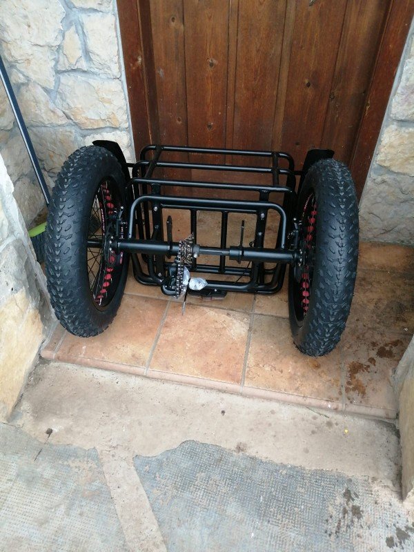 48V 1000W snowmobile Electric three-wheeled fat ebike 20-24inch wheel electric CARGO ebike